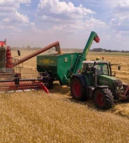 tractors plowing field collecting wheat with farm combines and equipment